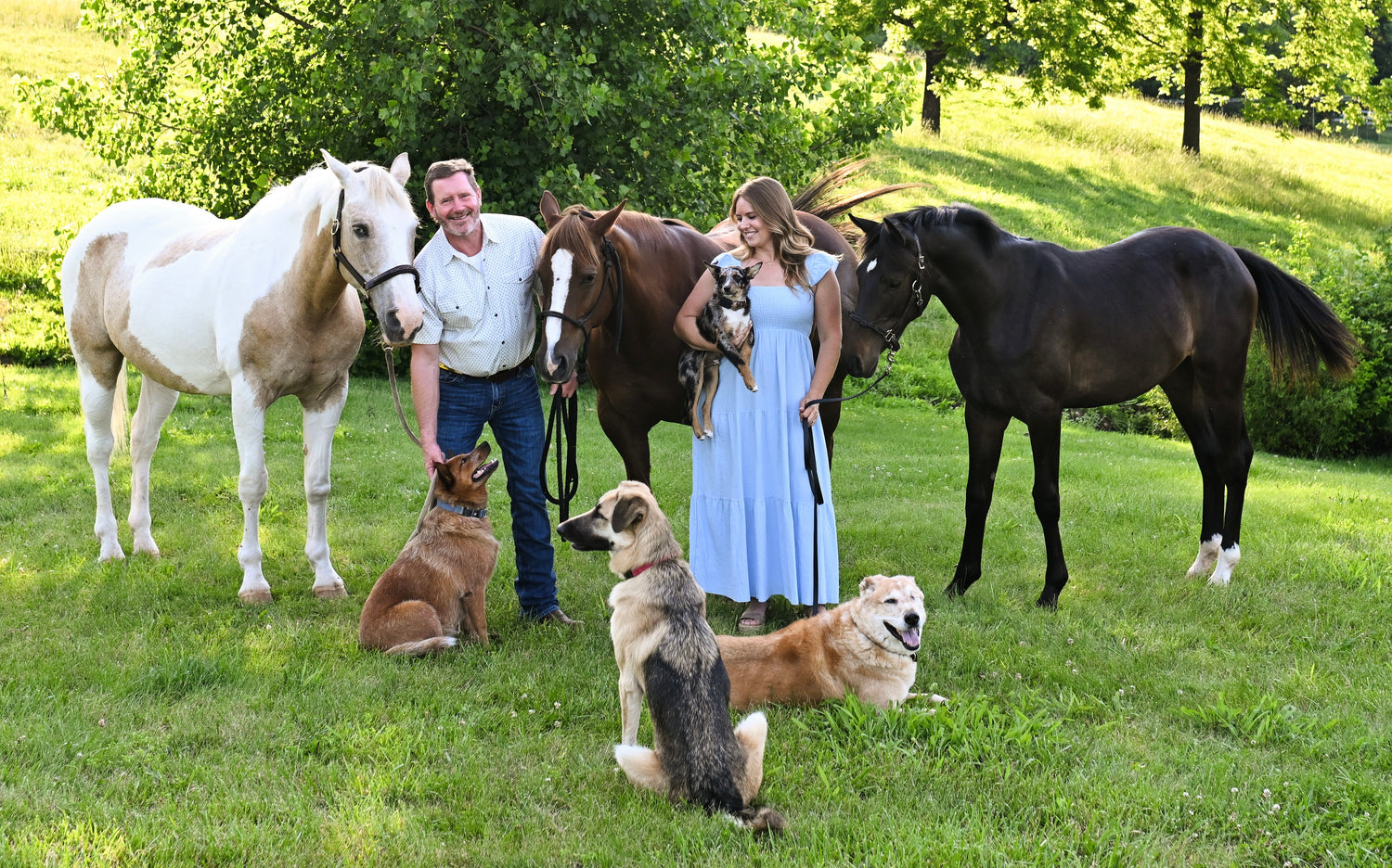 Nicole Kmetz, SolvEquine founder, with her horses, husband, and dogs on the farm